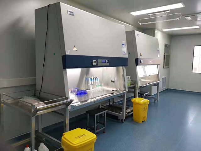 青岛海尔细胞库VR视频节选片段