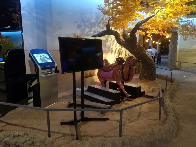 丝路盛景：VR骆驼骑行